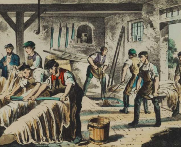 Une dynastie de tanneurs